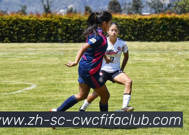 App Interface Preview